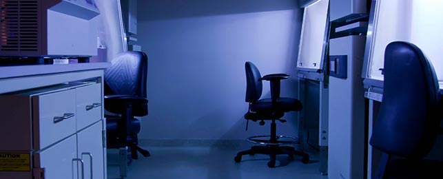 Cell Therapy Technicians 