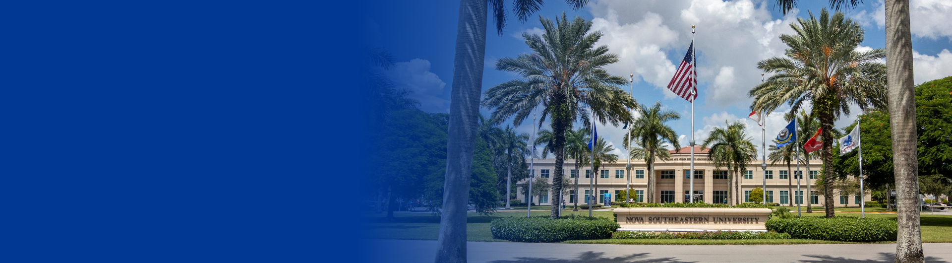 Exterior of NSU Horvitz building with flags raised in front