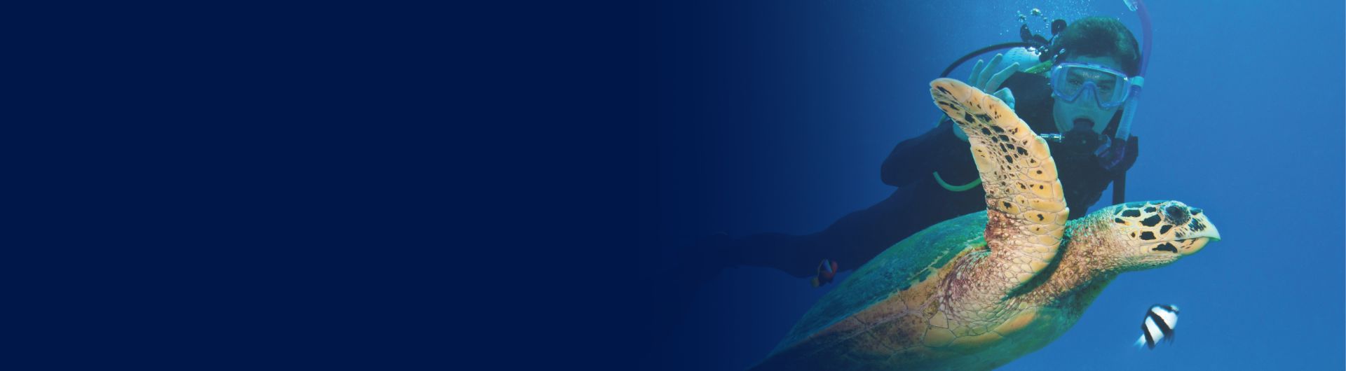 Scuba diver swimming beside sea turtle