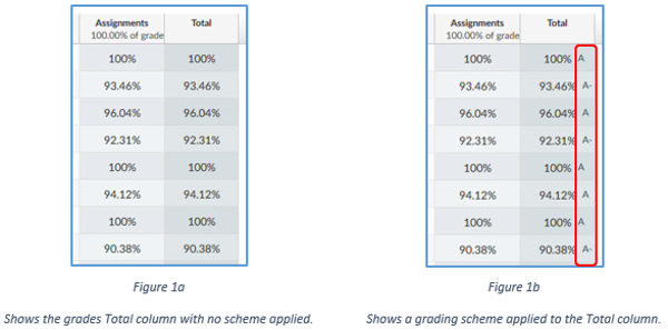 NSU Grades Tool Displayed