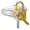 BitLocker Icon