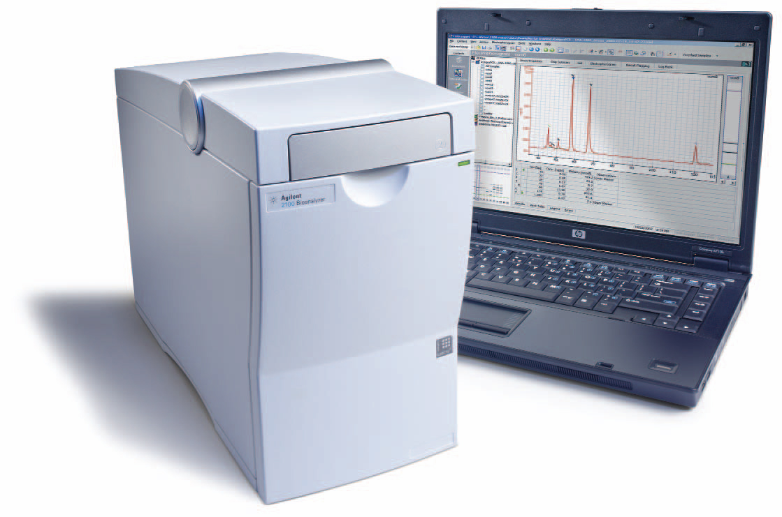 bioanalyzer