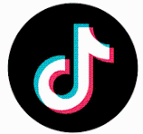 TikTok Application Logo